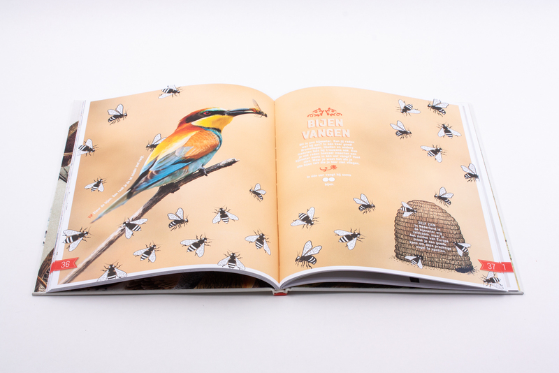 Doe-boek vogels 5