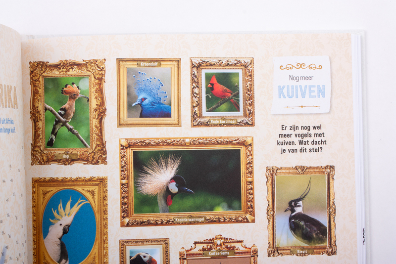 Doe-boek vogels 7