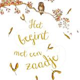 Het begint met een zaadje 1