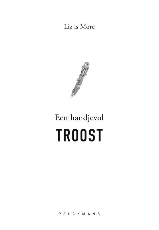 Omslag van boek: Een handjevol troost