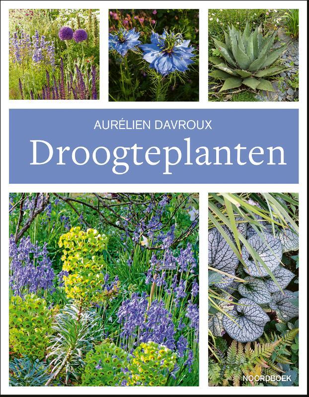 Omslag van boek: Droogteplanten