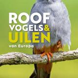 Zakgids roofvogels en uilen 1