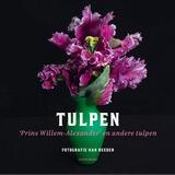 Tulpen 1