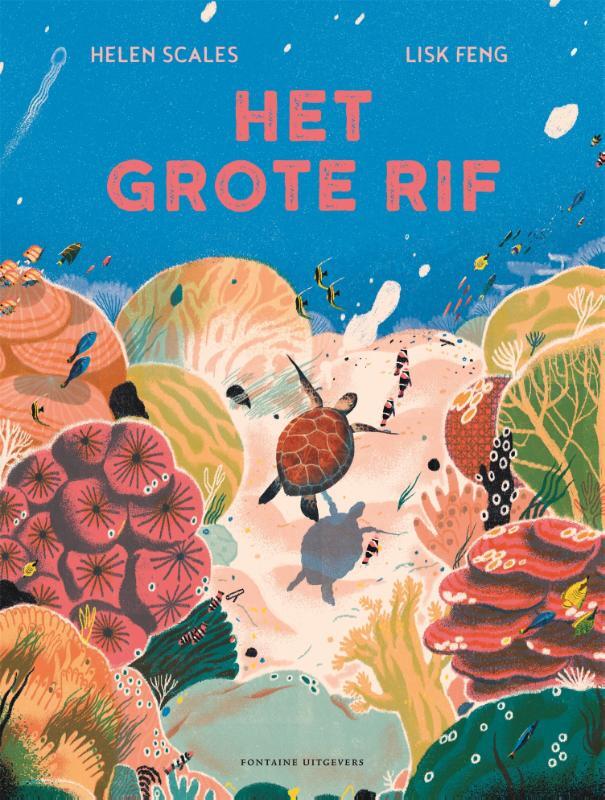 Omslag van boek: Het grote rif