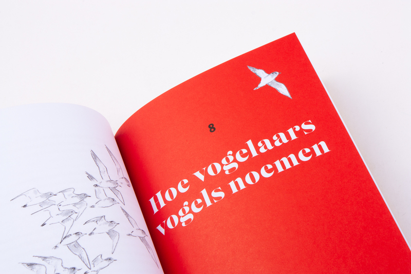 Het mooie vogelwoorden boek 4