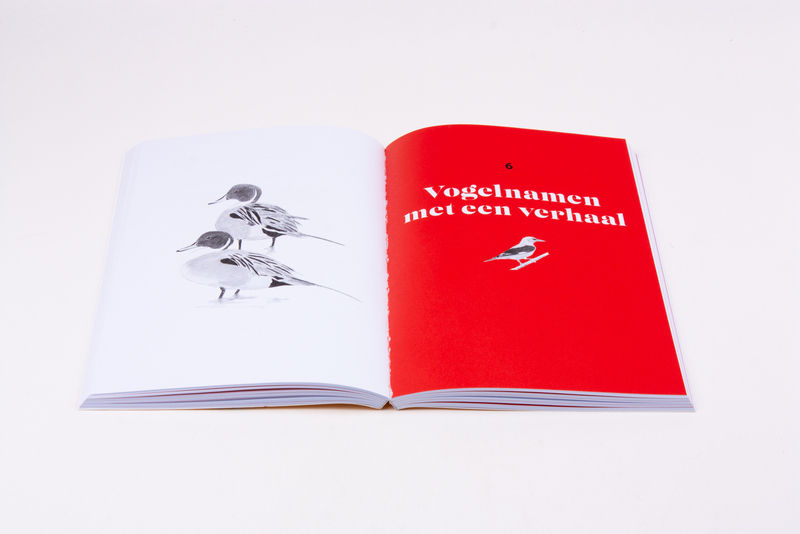 Het mooie vogelwoorden boek 6