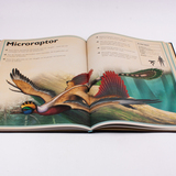 Het allermooiste boek over dinosauriërs 6