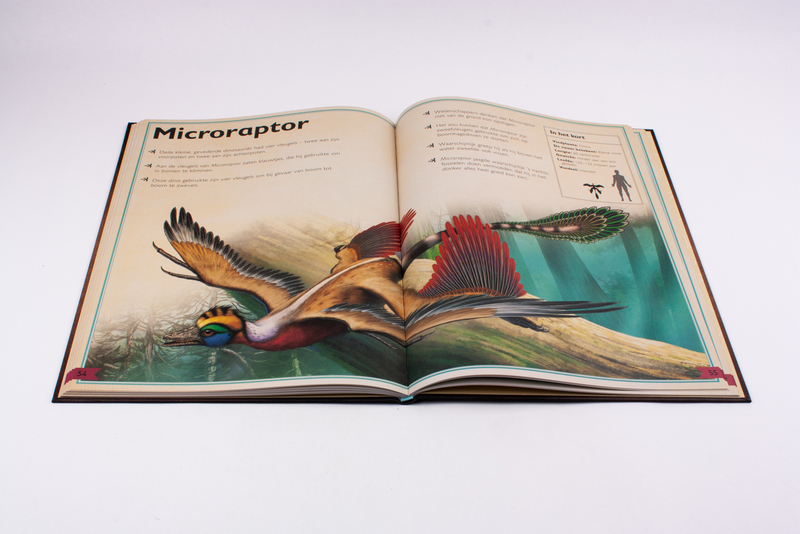 Het allermooiste boek over dinosauriërs 6