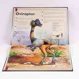 Het allermooiste boek over dinosauriërs 7