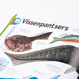 Het dinosaurusboek 6