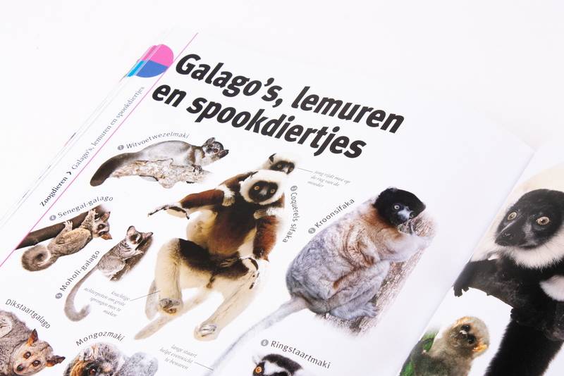 Het dierenboek 7