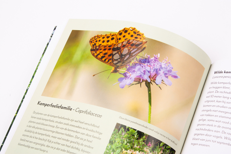 Tuinieren met wilde planten 4